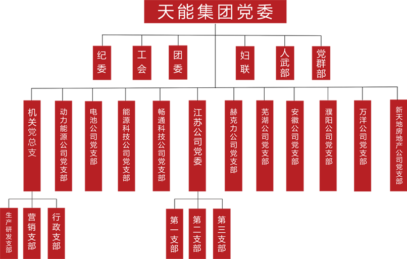 恩佐娱乐建团党委组织架构